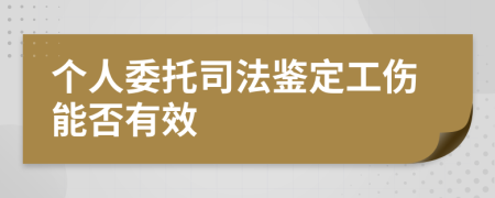 个人委托司法鉴定工伤能否有效