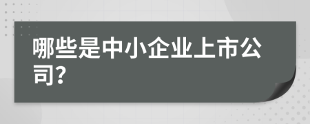 哪些是中小企业上市公司？