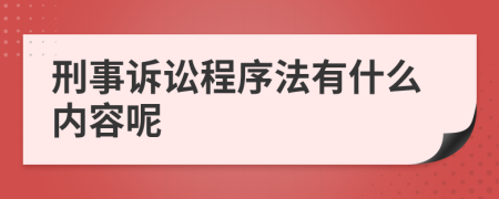 刑事诉讼程序法有什么内容呢