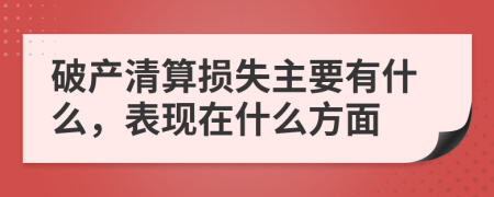 破产清算损失主要有什么，表现在什么方面