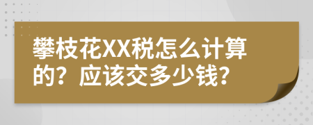 攀枝花XX税怎么计算的？应该交多少钱？