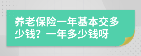 养老保险一年基本交多少钱？一年多少钱呀