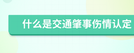 什么是交通肇事伤情认定