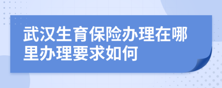 武汉生育保险办理在哪里办理要求如何