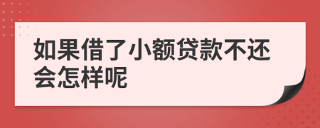 如果借了小额贷款不还会怎样呢