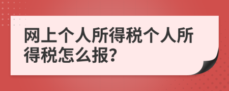 网上个人所得税个人所得税怎么报？