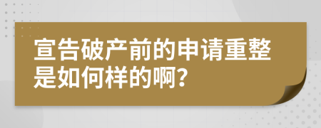 宣告破产前的申请重整是如何样的啊？