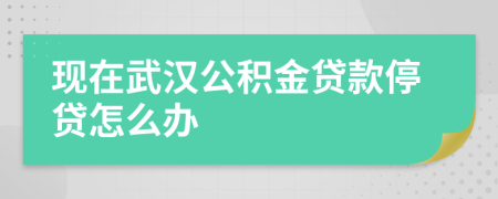 现在武汉公积金贷款停贷怎么办