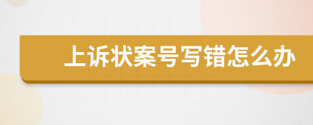 上诉状案号写错怎么办