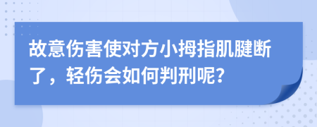 故意伤害使对方小拇指肌腱断了，轻伤会如何判刑呢？