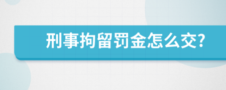 刑事拘留罚金怎么交?