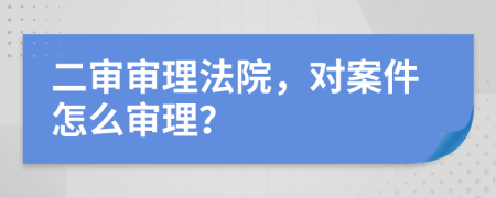 二审审理法院，对案件怎么审理？