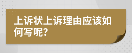 上诉状上诉理由应该如何写呢？