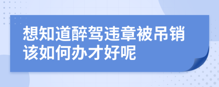 想知道醉驾违章被吊销该如何办才好呢