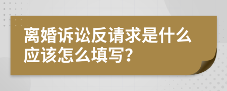 离婚诉讼反请求是什么应该怎么填写？