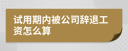 试用期内被公司辞退工资怎么算