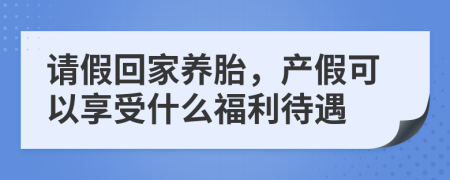 请假回家养胎，产假可以享受什么福利待遇