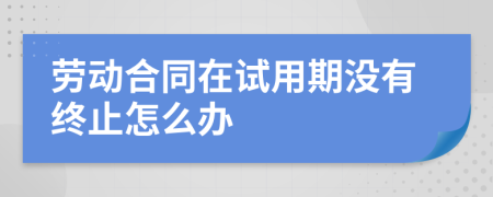 劳动合同在试用期没有终止怎么办