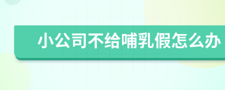 小公司不给哺乳假怎么办