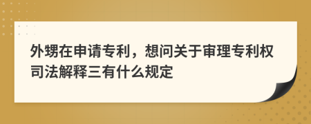 外甥在申请专利，想问关于审理专利权司法解释三有什么规定