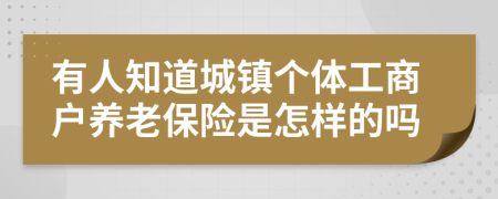 有人知道城镇个体工商户养老保险是怎样的吗