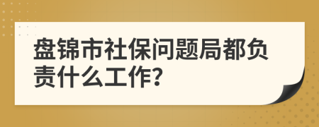 盘锦市社保问题局都负责什么工作？