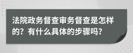 法院政务督查审务督查是怎样的？有什么具体的步骤吗？