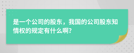 是一个公司的股东，我国的公司股东知情权的规定有什么啊？