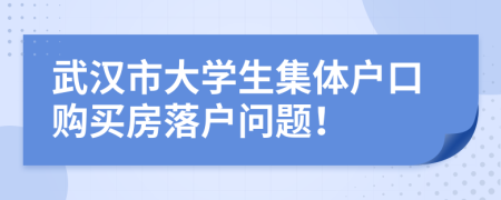 武汉市大学生集体户口购买房落户问题！