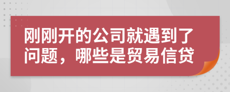 刚刚开的公司就遇到了问题，哪些是贸易信贷