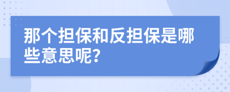 那个担保和反担保是哪些意思呢？