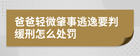 爸爸轻微肇事逃逸要判缓刑怎么处罚