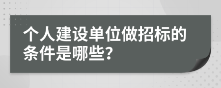 个人建设单位做招标的条件是哪些？