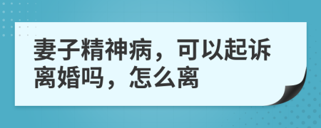 妻子精神病，可以起诉离婚吗，怎么离