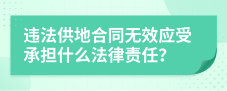 违法供地合同无效应受承担什么法律责任？