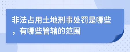 非法占用土地刑事处罚是哪些，有哪些管辖的范围