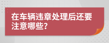 在车辆违章处理后还要注意哪些？