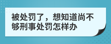 被处罚了，想知道尚不够刑事处罚怎样办