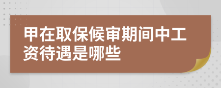 甲在取保候审期间中工资待遇是哪些