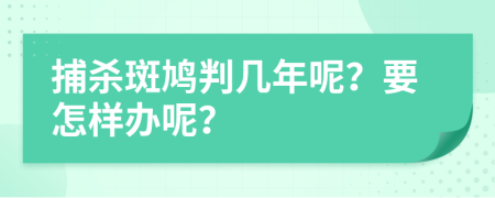 捕杀斑鸠判几年呢？要怎样办呢？