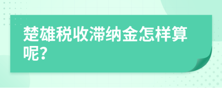 楚雄税收滞纳金怎样算呢？