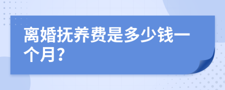 离婚抚养费是多少钱一个月？