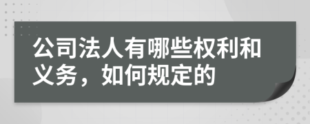 公司法人有哪些权利和义务，如何规定的