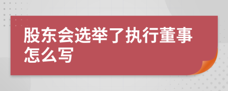 股东会选举了执行董事怎么写