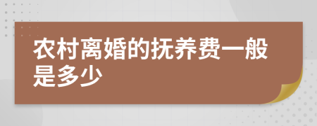 农村离婚的抚养费一般是多少