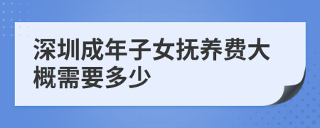 深圳成年子女抚养费大概需要多少