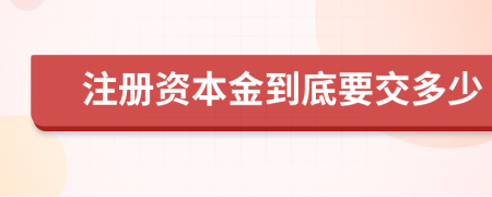 注册资本金到底要交多少