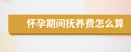 怀孕期间抚养费怎么算