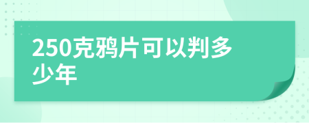 250克鸦片可以判多少年