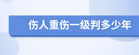 伤人重伤一级判多少年